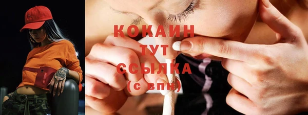 шишки Кукмор