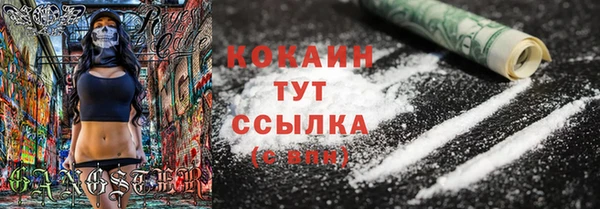 шишки Кукмор