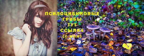 герыч Лагань