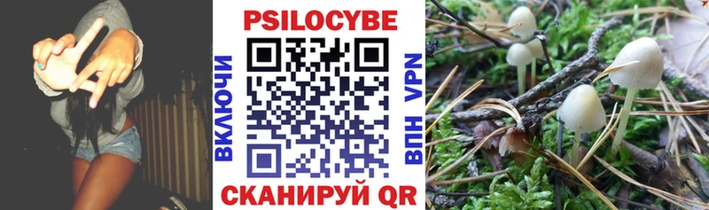 Купить где  Казань  Галлюциногенные грибы Magic Shrooms 